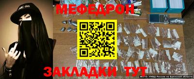 крисы Новокубанск