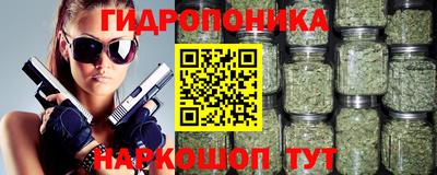 крисы Новокубанск