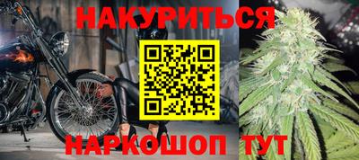 крисы Новокубанск