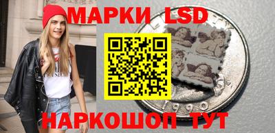 крисы Новокубанск