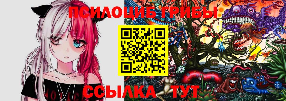 Топки  Галлюциногенные грибы мицелий  Вход с VPN 
